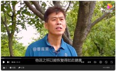 大叔做完手术后，每天光着脚徒步爬山，半年后奇迹发生了