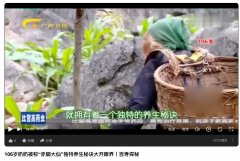 106岁奶奶被称“赤脚大仙”独特养生秘诀大开眼界丨百寿探秘